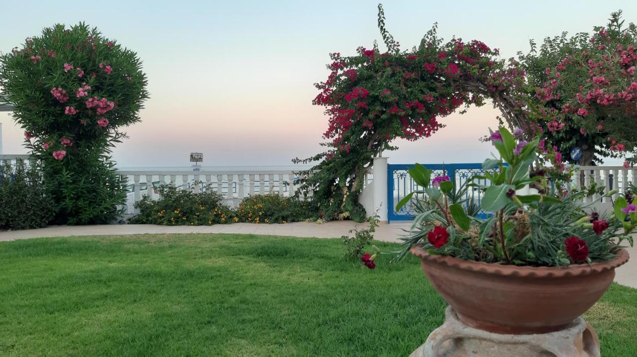 Antonios Apartments Stegna Архангелос Екстериор снимка